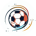 FIFA Collect Info